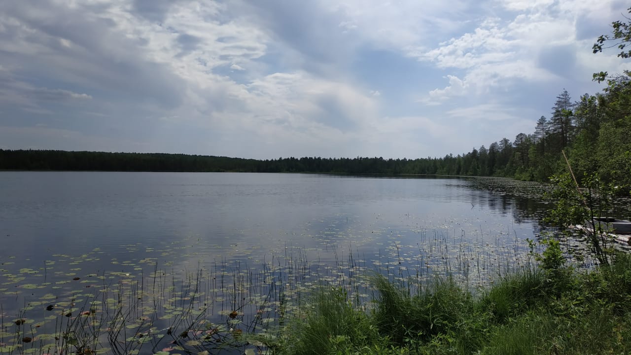 ВологодНИРО - Гидроэкологические исследования озер таежной зоны в  Вожегодском районе Вологодской области