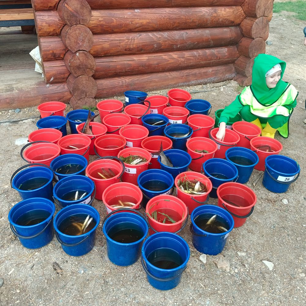 много наловили рыбы
