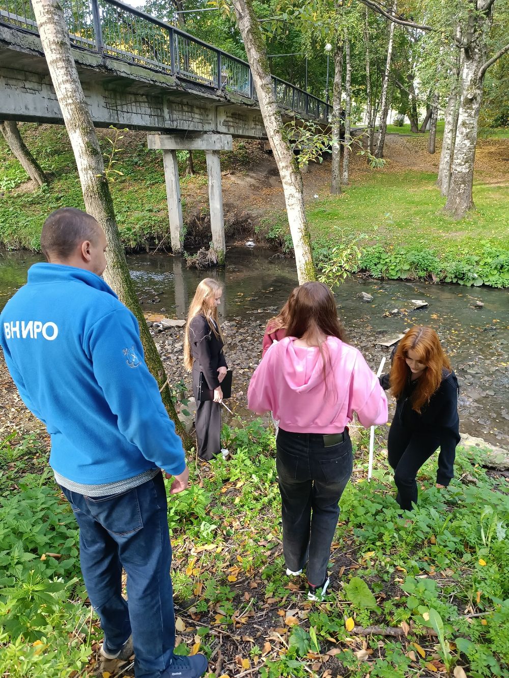 гидрология поля