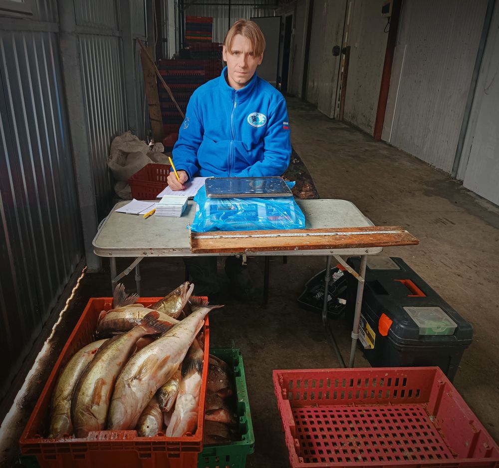 белое склад 2025