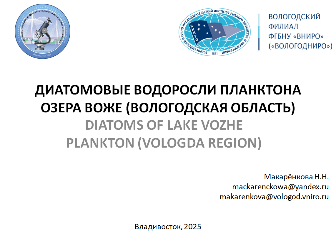 1 снимок экрана 2025 09 19 075252