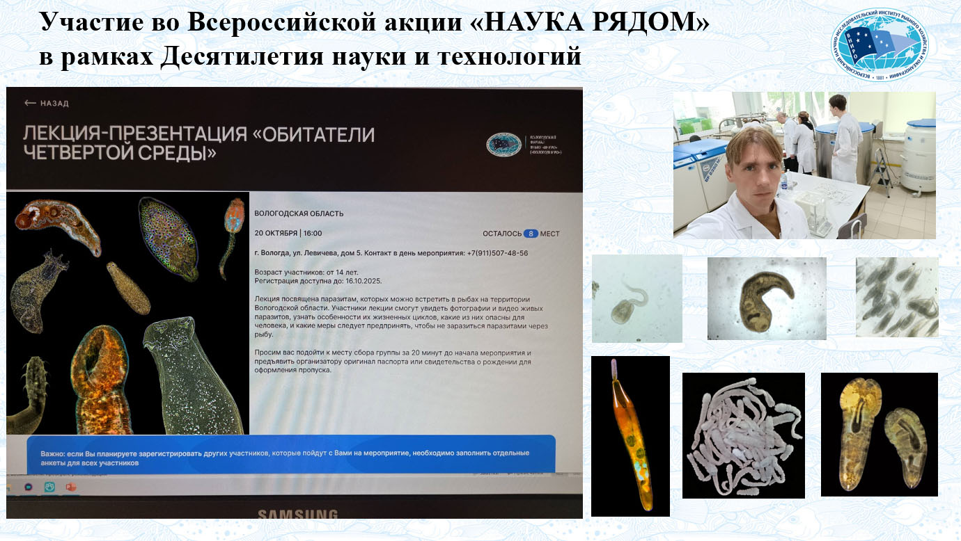 лекция