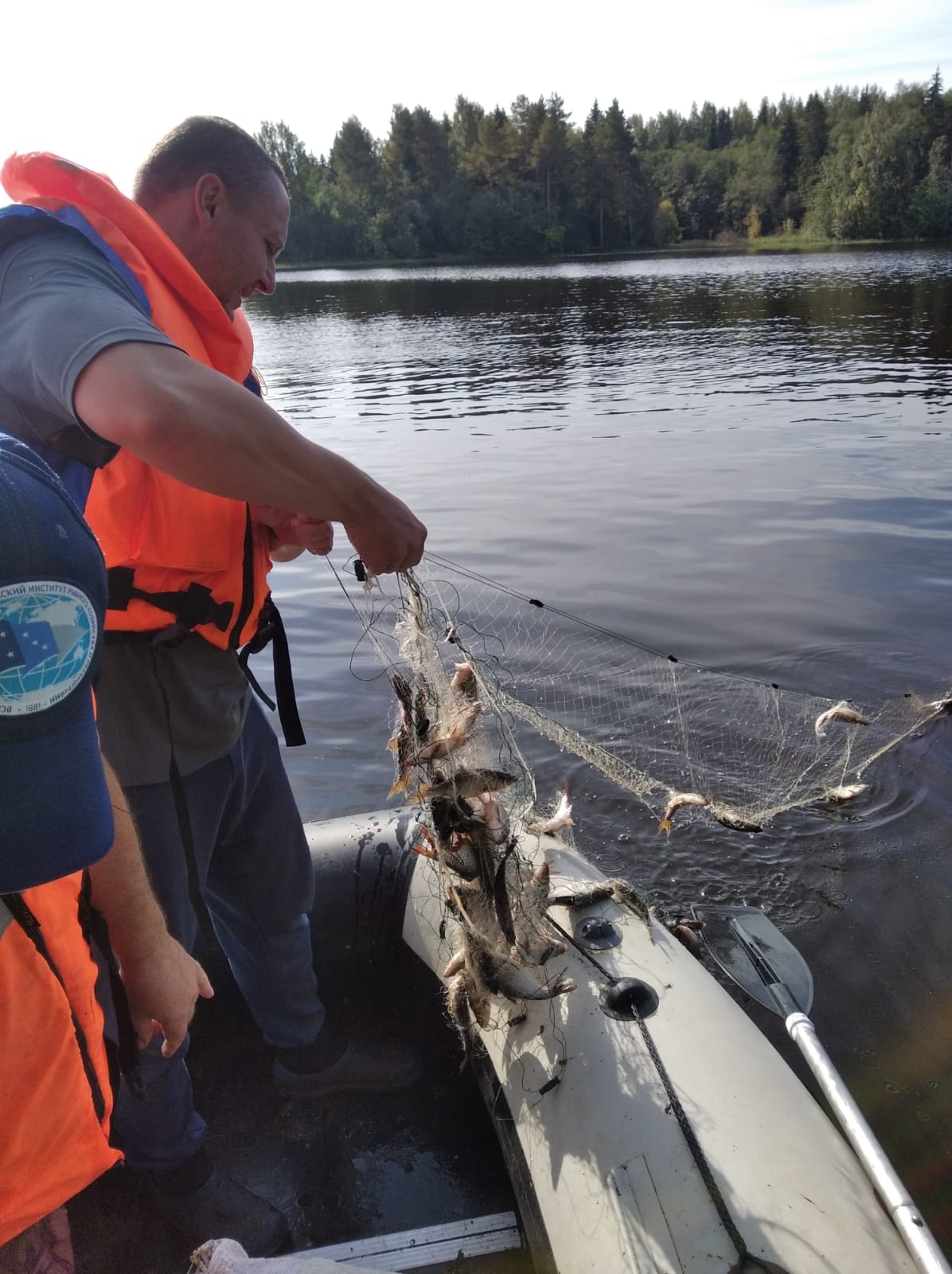 3 проверка сетей