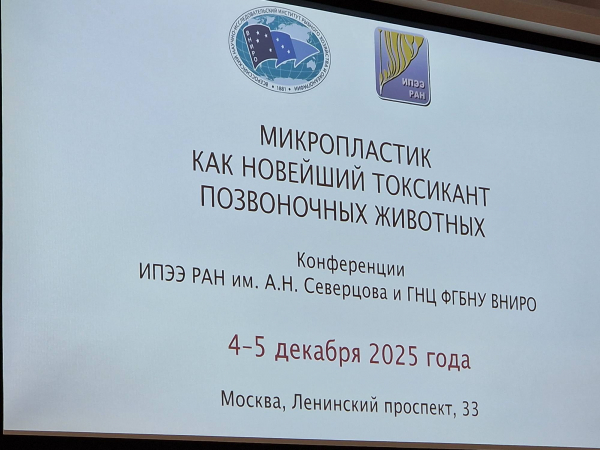 Участие сотрудников ВологодНИРО в совместной Конференции ИПЭЭ РАН им. А.Н. Северцова и ГНЦ РФ ФГБНУ &laquo;ВНИРО&raquo; &laquo;Микропластик как новейший токсикант позвоночных животных&raquo;