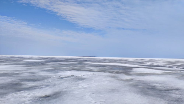 Сбор гидробиологического материала на крупных водоемах Вологодской области