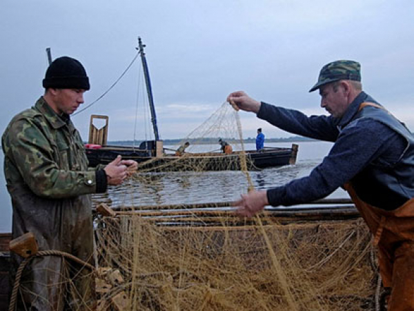 Публичная лекция по истории рыбного промысла в водоемах Вологодской области