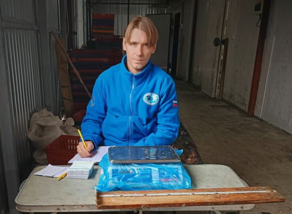 Работа на рыбоприемных пунктах озер Белое и Воже Вологодской области