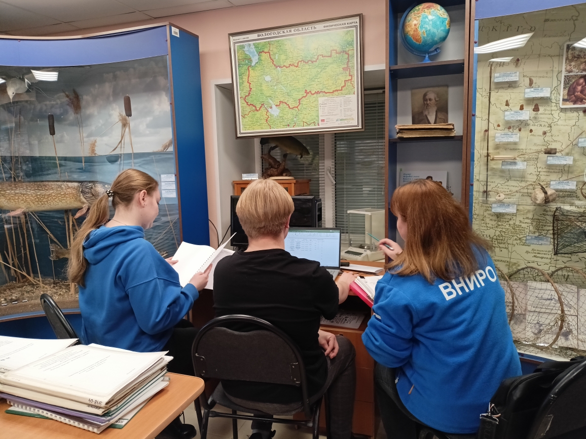 4 работа с отчетами