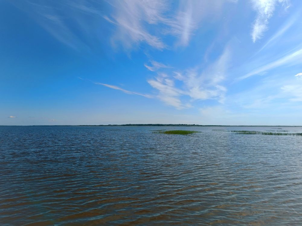 Полевые мониторинговые исследования на Кубенском озере и Шекснинском водохранилище в рамках выполнения Госзадания